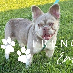 God of Thunder - THOR