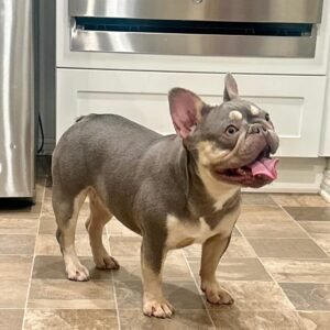 Bella